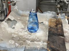 �ĒÐ����K���X�H�[�@���z���̎ʐ^1