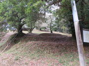 Ԃ񂳂̐ΐ_RÕ̓eʐ^1