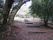 Ԃ񂳂̐ΐ_RÕ̓eʐ^3