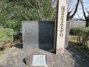 Ԃ񂳂̓xbԕw̓eʐ^1