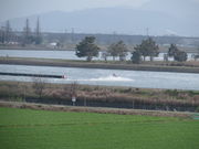 Ԃ񂳂̃{[g[T[{̓eʐ^1