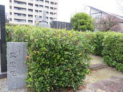 Ԃ񂳂̈佂̕uOv̓eʐ^3