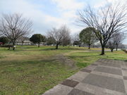 Ԃ񂳂̂xEV̐X̓eʐ^1