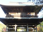 �j�R����񂳂�̎R��i�~�o���j�̓��e�ʐ^1