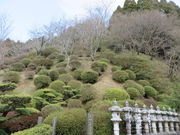 Ԃ񂳂̂Â獖Ղ̓eʐ^1