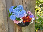 �j�R����񂳂�̎R��(�����@)�̓��e�ʐ^1