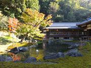 jR񂳂̉~o뉀̓eʐ^1