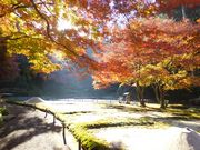 jR񂳂̒뉀(@j̓eʐ^1