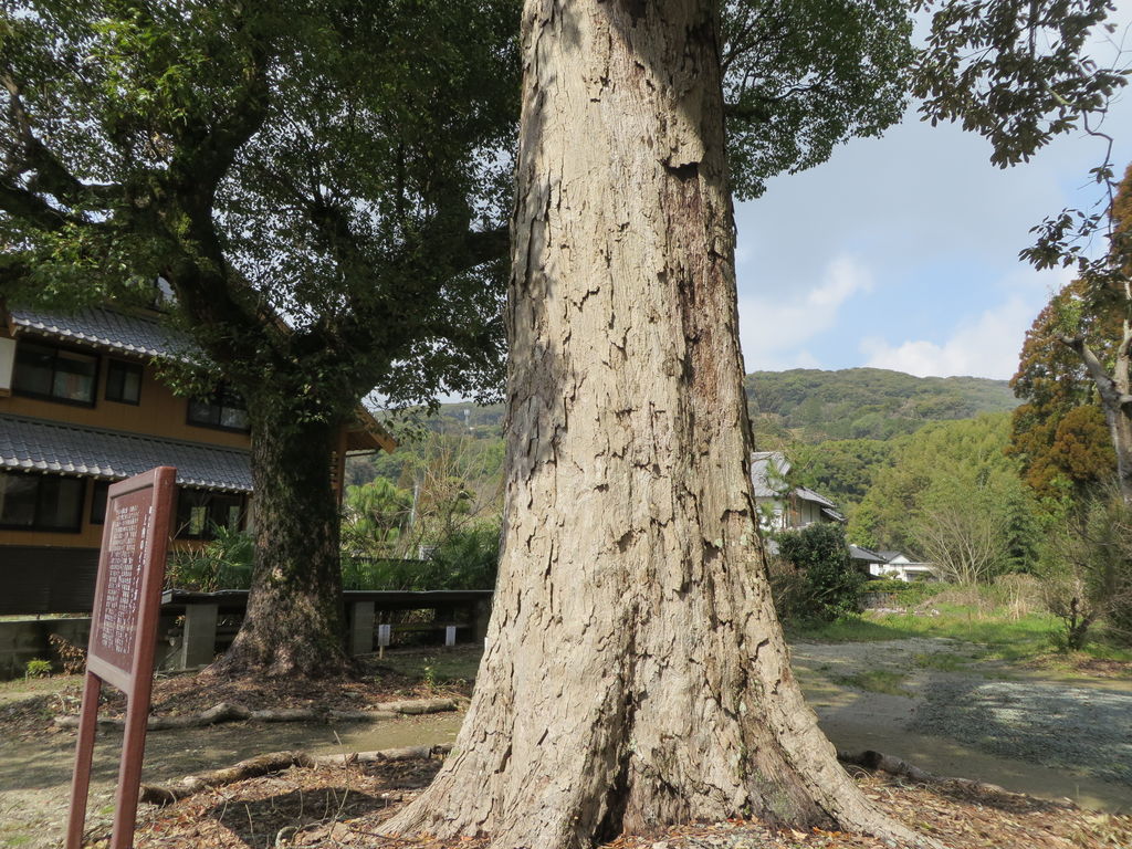 福岡の動物園 植物園ランキングtop10 5ページ目 じゃらんnet