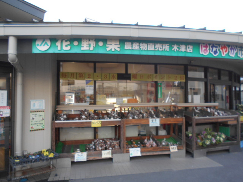 きづかわしい