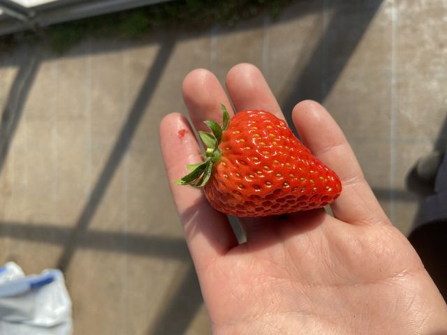 �������������B_�c����