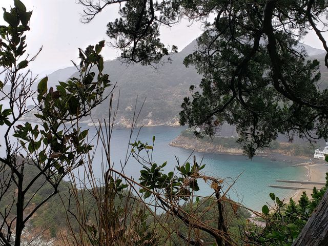 �C���Y��ł��B_��Ԑ_��