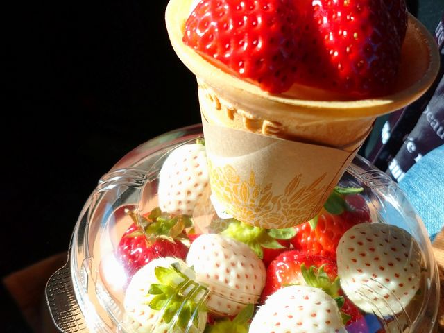 �\�t�g�N���[���Ƃ��y�Y_�q���t�@�[��