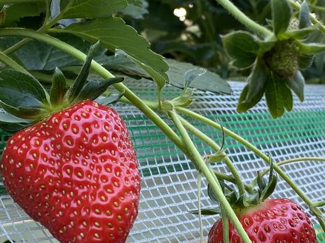 �H�׍��I_�����o�v�_��