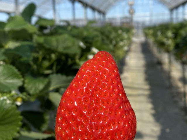 ���n�`�^����_��{�ό��������g��