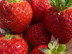 Risamamâӂ[ނւ̓eʐ^1