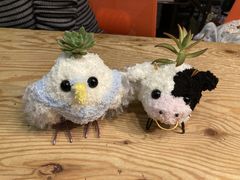 omunin̂Ƃ͉̂Yւ̓eʐ^1