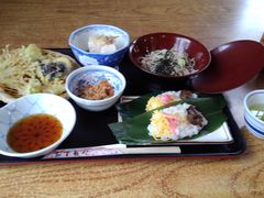 50̃Xm[{[h񂳂̔nȉ@Ɗ|̒ւ̓eʐ^1