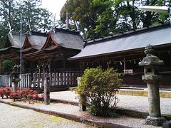 �˂�����񂳂�̓�o���R��ߐ_�Ђւ̓��e�ʐ^1