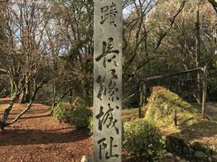 Shota����̒��隬�j�Օۑ��قւ̓��e�ʐ^1