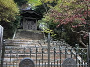 傤܂̈cT[OicVj̓eʐ^4