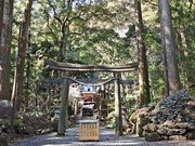 �ނ�������̍s�w�_�Ђ̓��e�ʐ^2