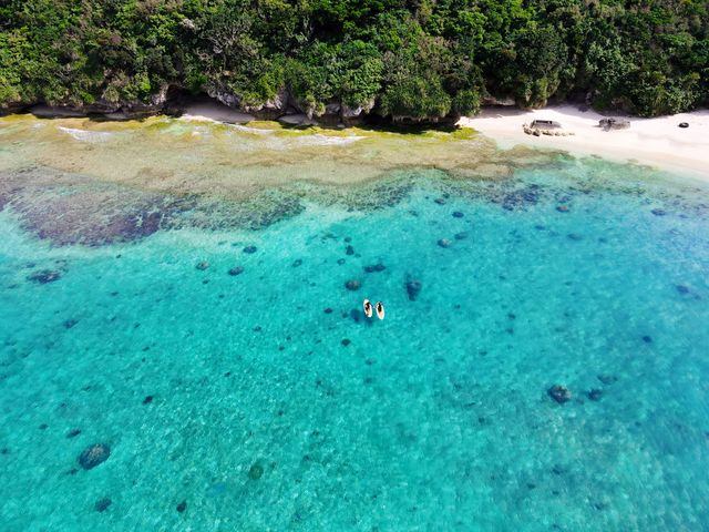 �h���[���ŎB�e���Ă����������F�l�Ǝ��ł��B_TarzanWorld