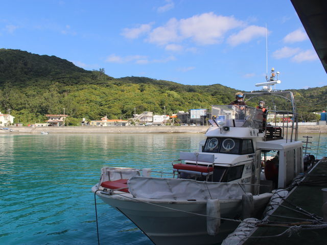 {[głBQ҂͂VlłB__CrO`[@Ȃ̐