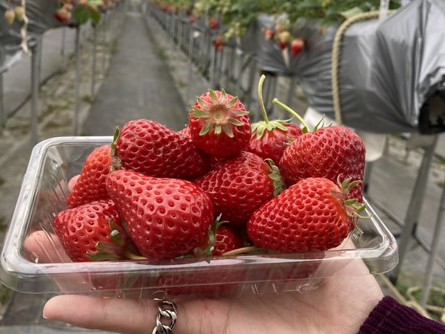 �c���c���̂������B_�t���[�c�K�[�f���䂤