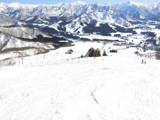 �Y��Ȍi�F_�⌴