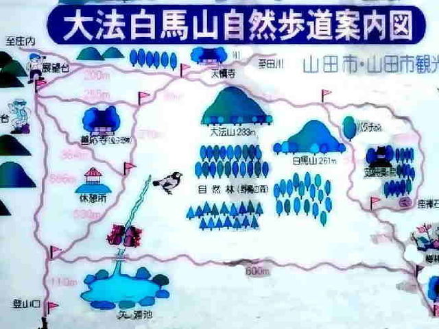 �咓�ԏ�ɂ���u��@���n���R�����v�̈ē���_��@���n�R���R�V����