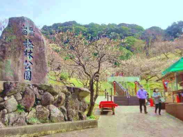 �����ł��L���̔~�ь���_��@���n�R���R�V����