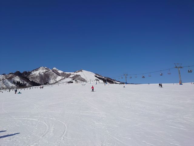 ���L�Q�����f_�⌴�X�L�[��