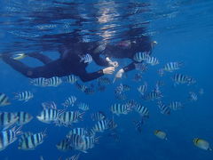 䂤̐̓A@Dive@ւ̓eʐ^1