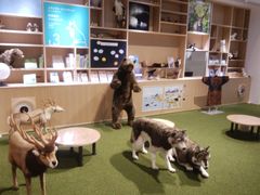 \tgȏS 58΂̃E||C(ے)ւ̓eʐ^3