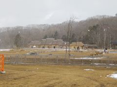 \tgȏS 58΂̃E||C(ے)ւ̓eʐ^4