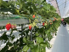 ݂̂̂΂BunBun@NXP̑匴산񂫔ւ̓eʐ^1