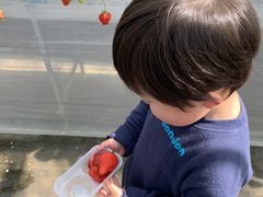 ܂߂̕ct@[@x[ւ̓eʐ^1