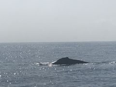 [񂳂NEWSߔeXւ̓eʐ^1