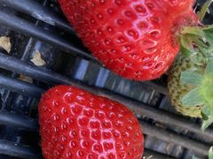 Hׂ킩̂邤_ւ̓eʐ^1