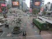 mansan̐KGόē̓eʐ^1