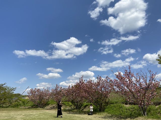 �{�݂���̌i�F_�x�ÃA�N�A�t�@�[��