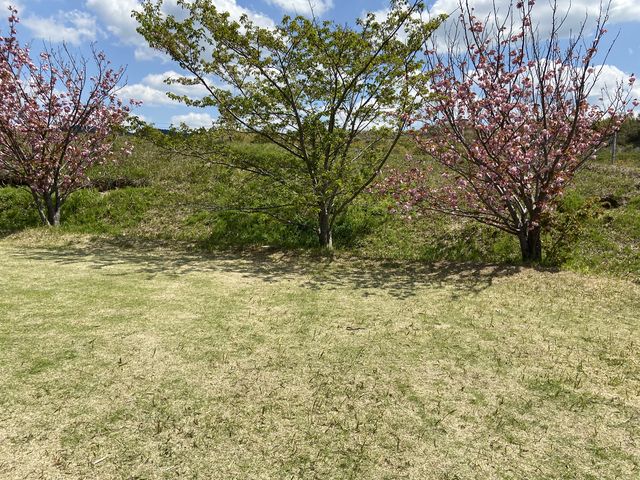 �{�݂���̌i�F_�x�ÃA�N�A�t�@�[��