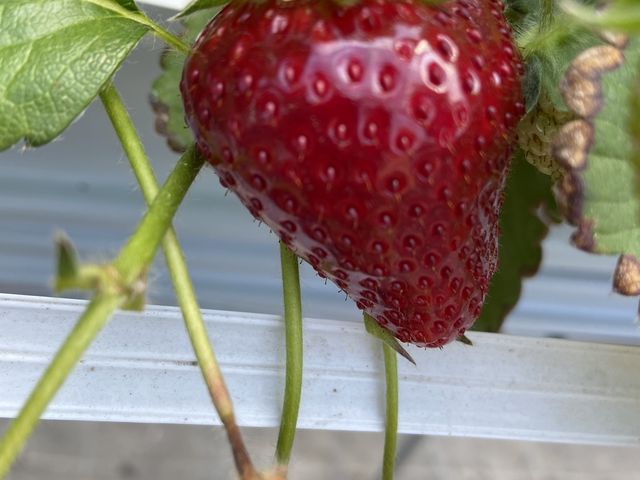 ��������������_�x�ÃA�N�A�t�@�[��