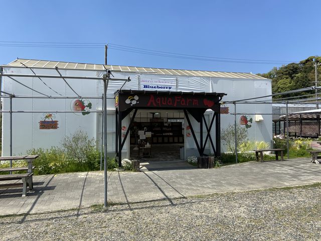 �����_�x�ÃA�N�A�t�@�[��