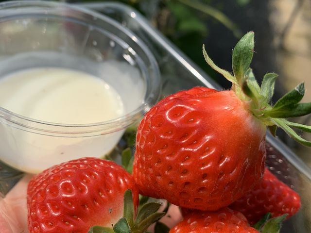 ���ꂢ�ł������Ȃ������I���̂܂܂ł��ƂĂ��Â��Ĕ��������ł��B_Farm U.S.A