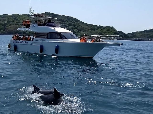 �N���[�U�[�ŁA�ƂĂ��ō��ł���_�C���J�N���u