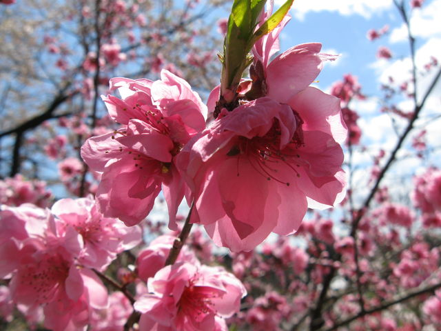 ݂ɂ킽̓V_vw̓eʐ^3