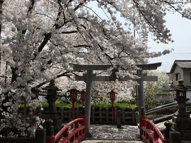 ���ۋ�_�Z�����_��