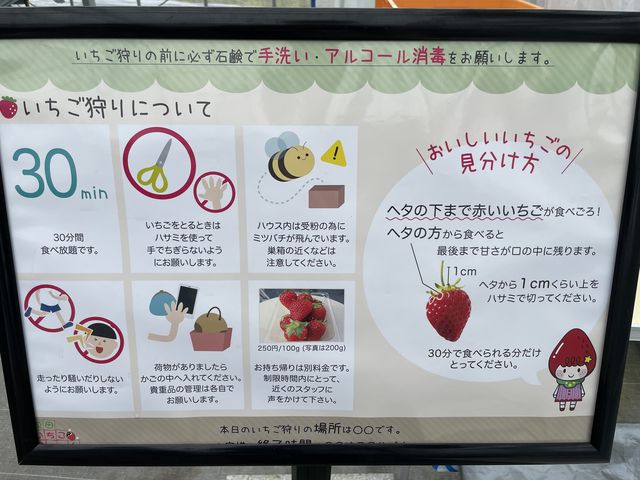 ���̃{�[�h�ł��������O�ɐ����B_���c�������t�@�[��